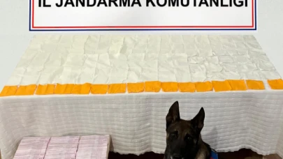 60 Bin Kullanımlık Bonzai Ele Geçirdi