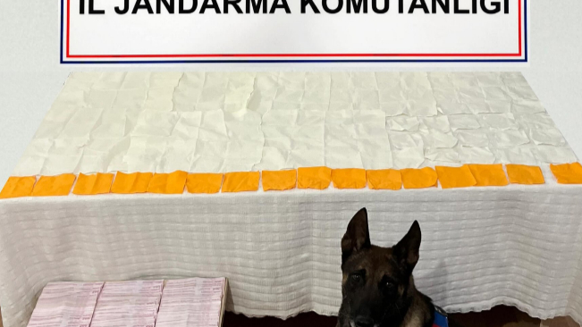 60 Bin Kullanımlık Bonzai Ele Geçirildi