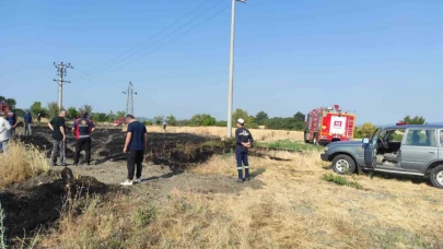 Kuş Elektirik Akımına Kapıldı Yangına Neden Oldu