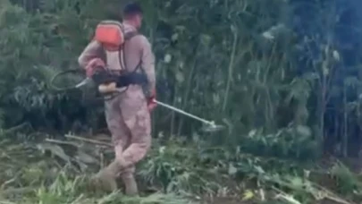 Tarlada Ele Geçirilen 45 Bin Kök Kenevire 4 Tutuklama
