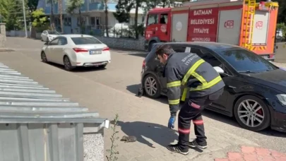 Tavan Arasında Sıkışan Kedi kurtarıldı