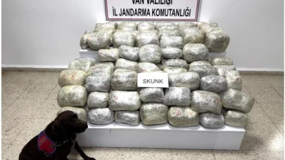 70 kilo Skunk Madde Ele Geçirildi