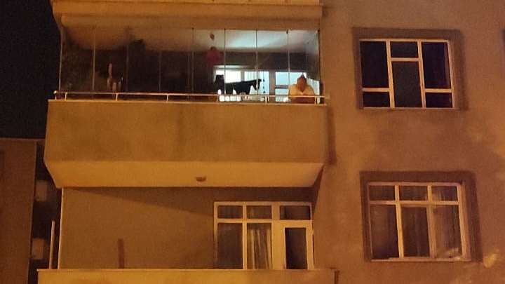 Yüksekten Düşen Kadın Öldü