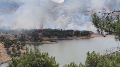 Ormanlık Alanda Yangın