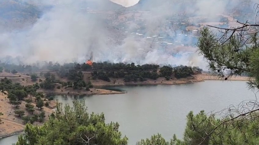 Ormanlık Alanda Yangın