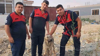 10 Metrelik Kuyuya Düşen Köpeği İtfaiye Kurtardı