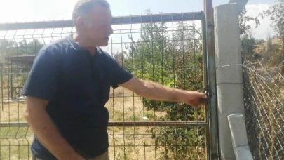 Yangını Başlattı, Alevlerin Büyüdüğünü Görünce Kaçtı