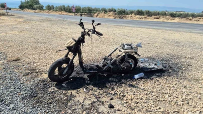 Orman Yangınında Araçlar Küle Döndü