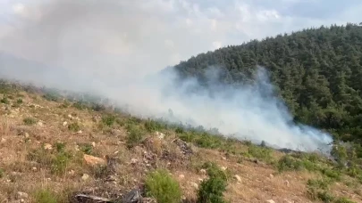 Aynı Bölgede 15 Bünde 2’nci Orman Yangını