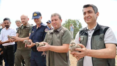 Doğaya 500 Keklik Salındı