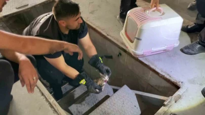 İtfaiyeden Yardım İstedi,Aracının Motor Kısmından Kedi Çıktı