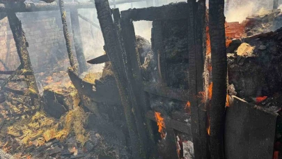Yaprak Pişirilirken Çıkan Yangın Ahıra Sıçradı