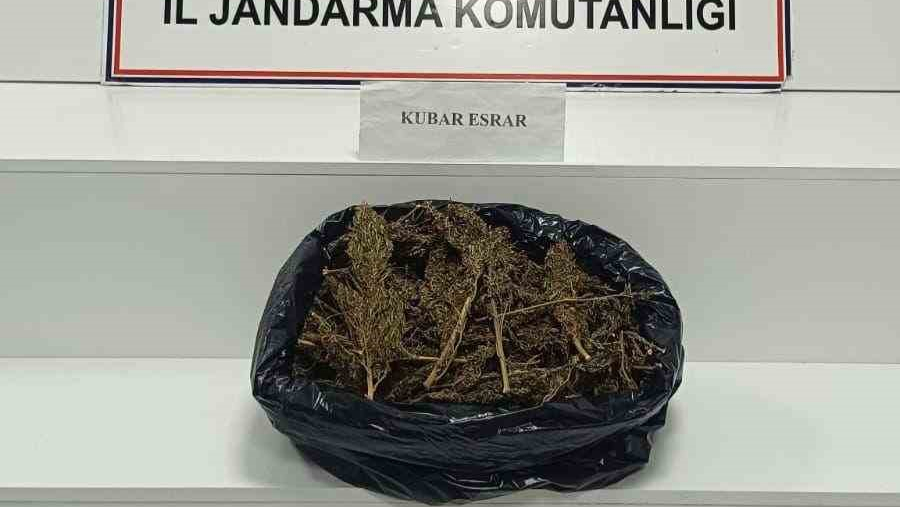 Jandarmadan Silah Ve Uyuşturucu Operasyonu: 5 Gözaltı