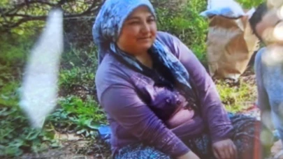 Dağlık Alanda Kaybolan 46 Yaşındaki Kadına  Ulaşılamadı