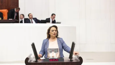 Şevkin'den ''Madencilik Kanun Teklifi'' Tepkisi:''Derhal Geri Çekilsin!''