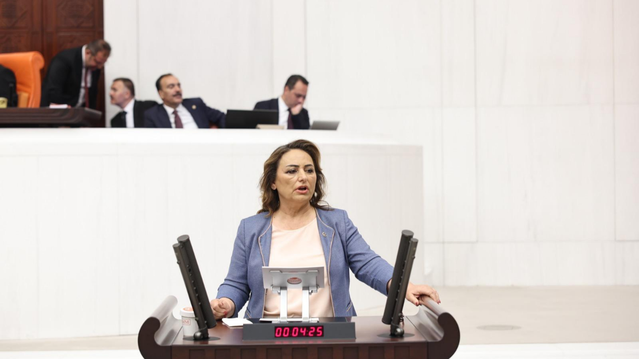 Şevkin'den ''Madencilik Kanun Teklifi'' Tepkisi:''Derhal Geri Çekilsin!''