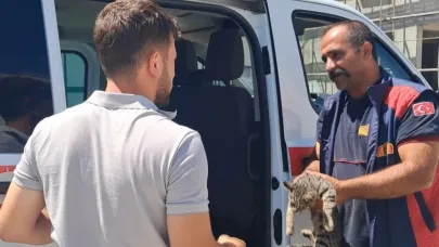 Aracın Motor Bölmesine Sıkışan Kedi Kurtarıldı