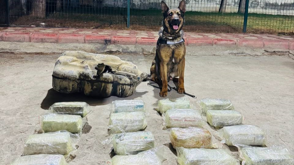 Mazot Deposundan 20 Kilogram Esrar Çıktı