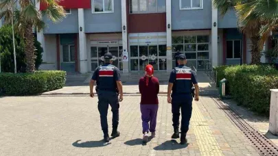 Aranan Şahıslar Jandarmaya Yakalandı