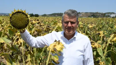 Barut:"Ayçiçeğinde Gümrük Vergisi Düştü, İthalat Kapıları Açıldı"