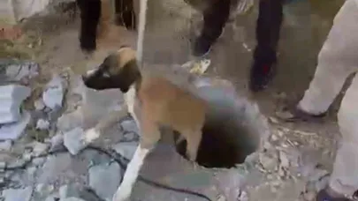 Kuyuya Düşen Yavru Köpeği İtfaiye Kurtardı