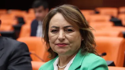Milletvekili Şevkin, Yedigöze Sulama Projesi’ni Meclise Taşıdı