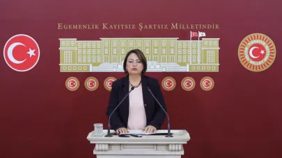 Şevkin'den Kanun Teklifi:''Milyonlarca İnsan Bu Kanunu Bekliyor!''