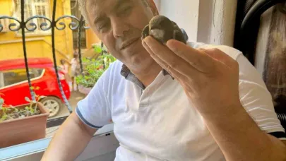 6 Yıl Önce Tedavisini Yaptığı Ebabil kuşu Geri Döndü