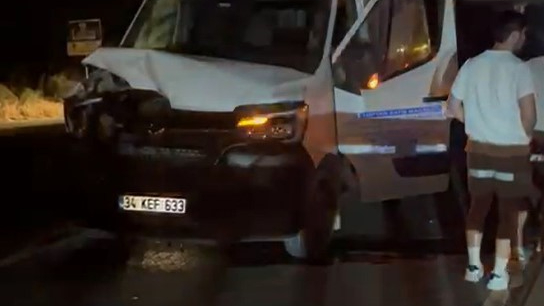Başıboş Manda Zincirleme Kazaya Neden Oldu