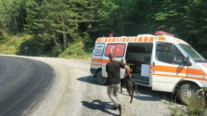 Rögara Düşen Köpekler Kurtarıldı