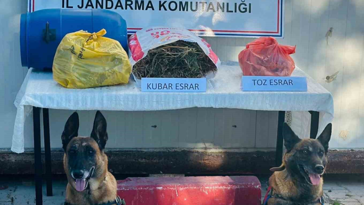 Jandarma, Uyuşturucu Satıcılarına Göz Açtırmıyor