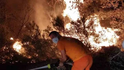 Gece Yarısı Orman Yangını: 7 Dönüm Alan Kül Oldu