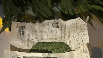 Jandarmadan Uyuşturucu Operasyonu: 1 Gözaltı
