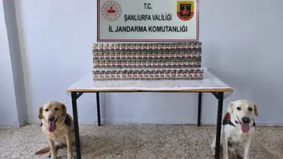 3 Bin Paket Kaçak Sigara Ele Geçirildi