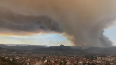 Orman Yangınında Son Durum