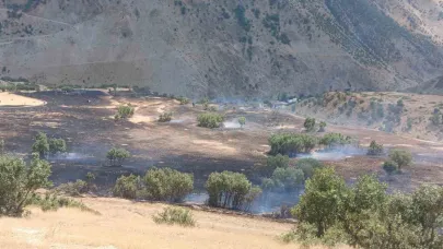Anız Yangını