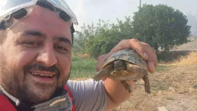 Yangından Etkilenen Hayvanlara Elleriyle Su Verdiler