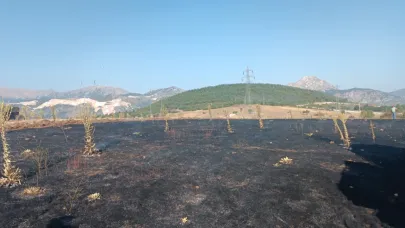 Karga 2 Dönüm Alanı Kül Etti