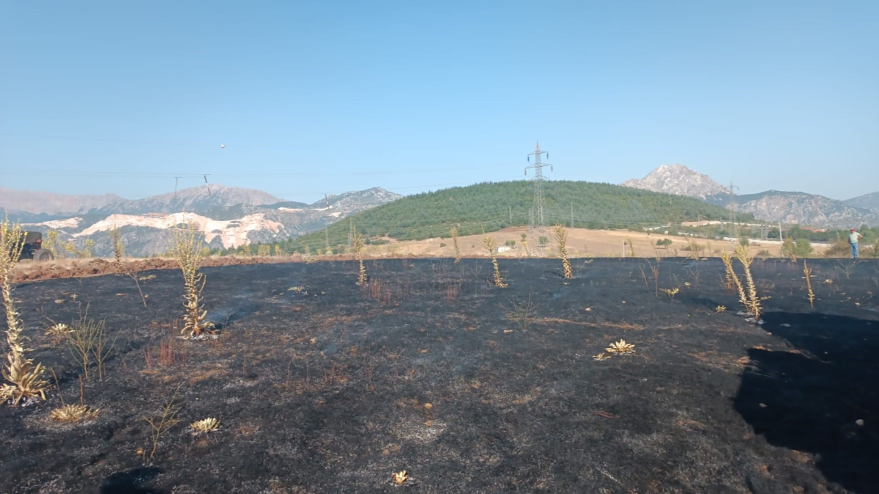 Karga 2 Dönüm Alanı Kül Etti