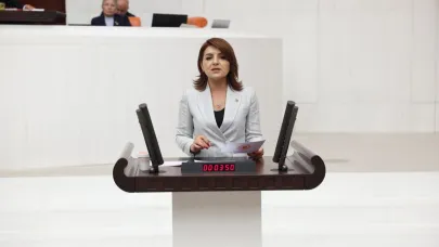 CHP'li Kış'tan Akbelen Kavşağı Vurgusu:''İhale Var, Firma Var, Yol Yok!''