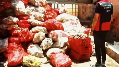 Binlerce Kilo Paça Ele Geçirildi