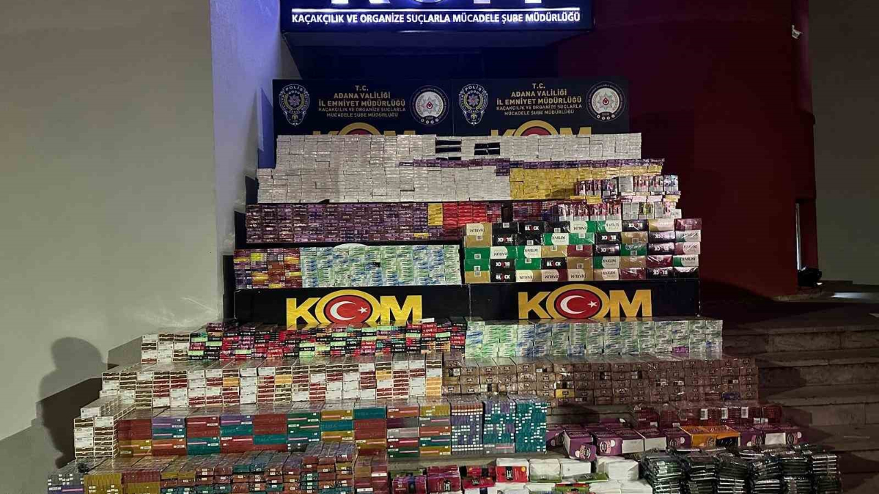 Samanların Arasından Servet Çıktı!