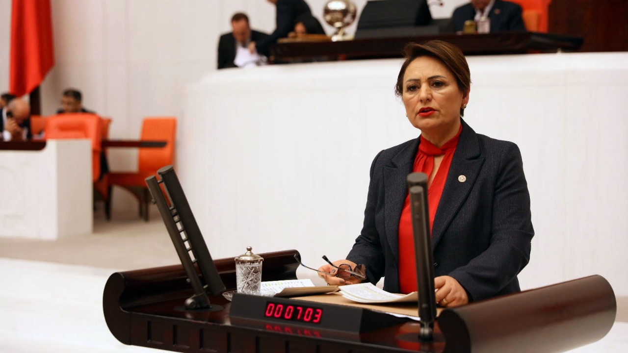 CHP'li Şevkin:''Ekonomik Kriz Cinayet ve İntiharları Arttırdı''