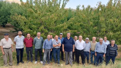 Gürer:“Kiraz Yok, Su Yok, Destek Yok:Üretici İsyanda!”
