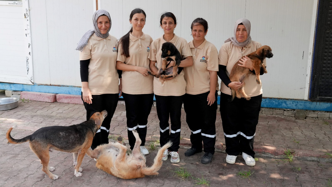 Çukurova Barınağında Şefkat Eli:Her Kafesin Bir Meleği Var