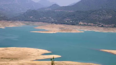 Narenciye Bahçelerinde Kuraklık Krizi