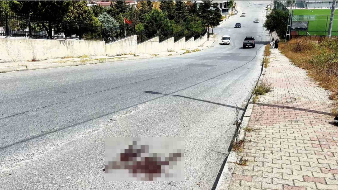 Kardeş Kavgası Cinayetle Bitti:1 Ölü