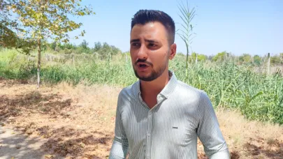 Köpek Gibi Havlayarak Domuzları Kaçırdı
