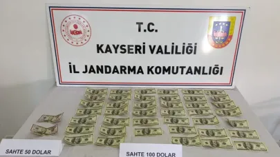 Jandarmadan Sahte Döviz Operasyonu:1 Gözaltı