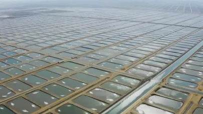 Karataş Tarıma Dayalı İhtisas Su Ürünleri Organize Sanayi Bölgesinde Ön Talep Süreci Başladı